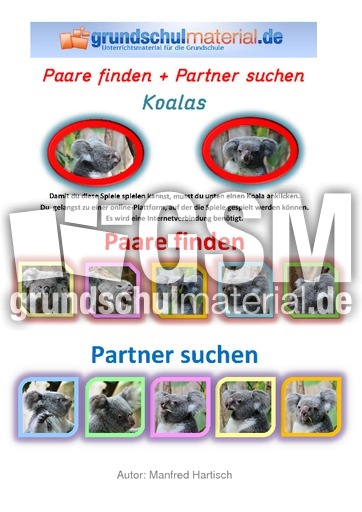 Paare finden und Partner suchen_Koalas.pdf